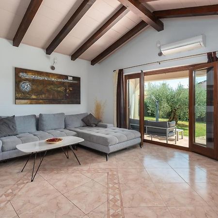 Villa Lucas Novigrad  Екстер'єр фото