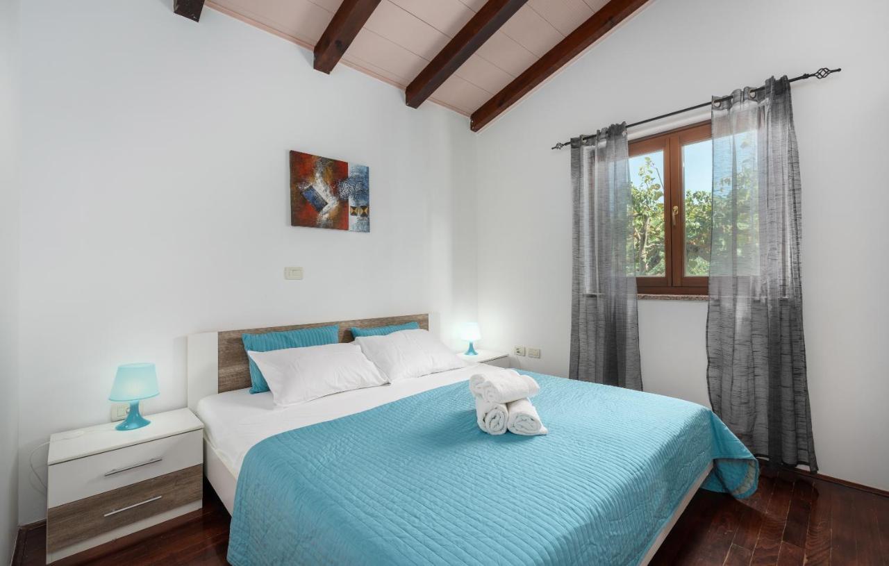 Villa Lucas Novigrad  Екстер'єр фото